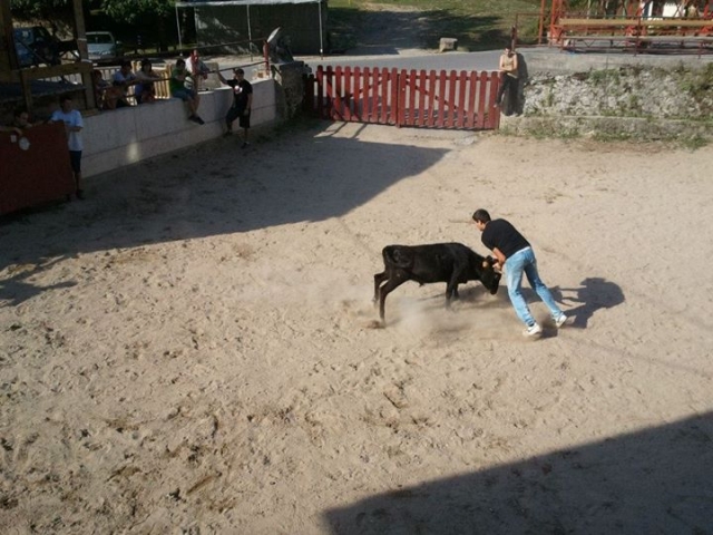 con la vaquilla.jpg